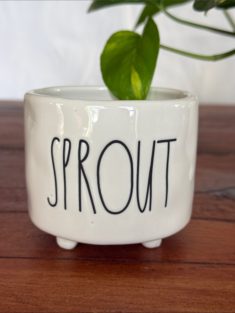 Rae Dunn White Ceramic Pot with Black 'SPROUT' Lettering